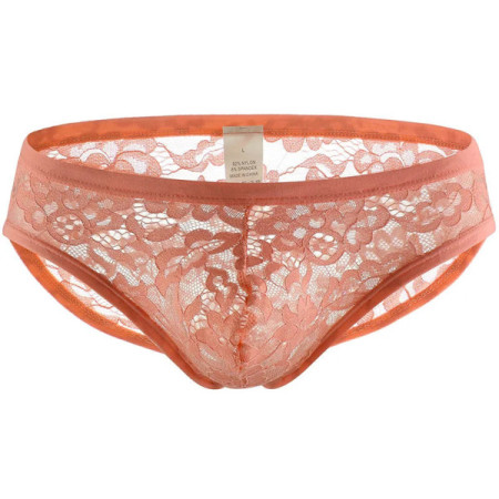 Men's Sexy Lace Ultra-Thin Transparent Briefs Low Rise Sheer Lingerie Men Penis Bag Mini Panties Breathable Bikini Sissy Costume