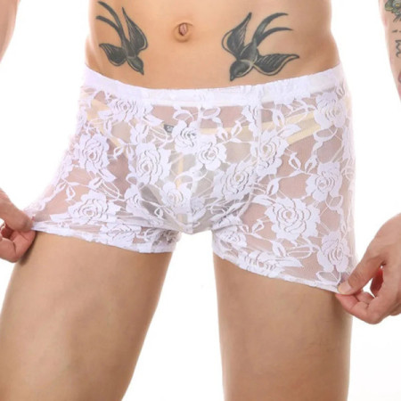 CLEVER-MENMODE Men's Sexy Sheer Boxers Lace Transparent Crop Shorts Breathable Erotic Lingerie Erotic Sissy Panties mini Bikini